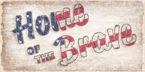 Home of the Brave Poster Print by Allen Kimberly - Item # VARPDXKARN091A