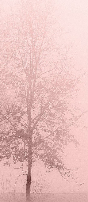 Pink Dawn 2 Poster Print by Allen Kimberly - Item # VARPDXKARN096B