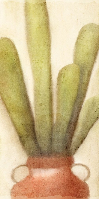 Potted Cactus 2 Poster Print by Allen Kimberly - Item # VARPDXKARN160B