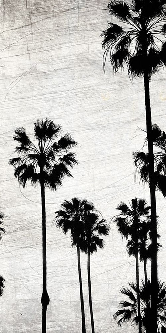 Dusky Beach 5 Poster Print by Allen Kimberly - Item # VARPDXKARN191A