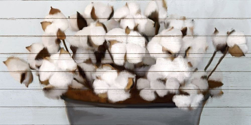 Cotton Gather 1 Poster Print by Allen Kimberly - Item # VARPDXKARN228A