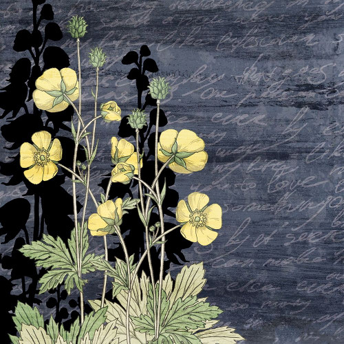 Navy Square Floral 1 Poster Print by Allen Kimberly - Item # VARPDXKASQ1194A