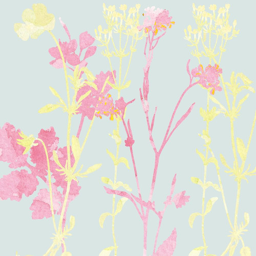 Sunshine Pink 2 Poster Print by Allen Kimberly - Item # VARPDXKASQ1221B