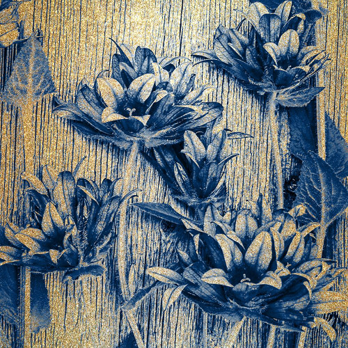 Indigo Gold 2 Poster Print by Allen Kimberly - Item # VARPDXKASQ1255B