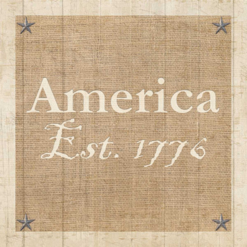 Americana 3 Poster Print by Kimberly Allen - Item # VARPDXKASQ129A