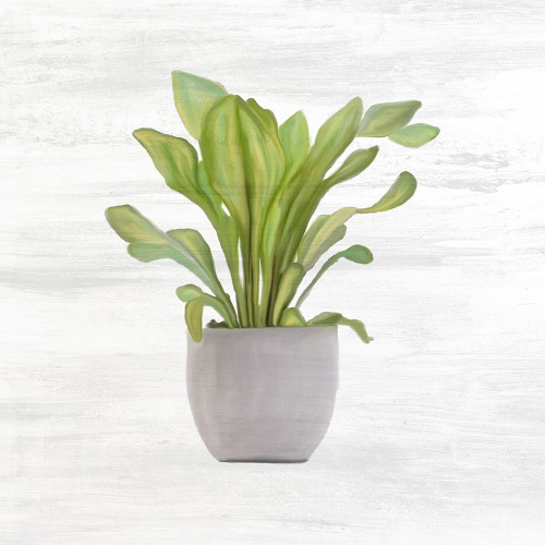 Spring Green 1 Poster Print by Allen Kimberly - Item # VARPDXKASQ1311A