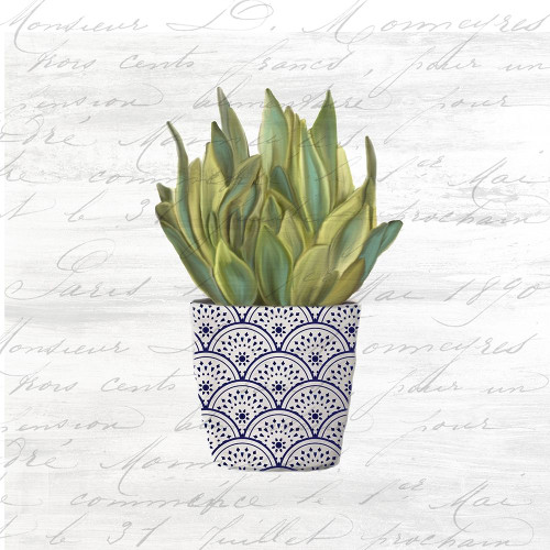 Blue Pots 2 Poster Print by Allen Kimberly - Item # VARPDXKASQ1354B