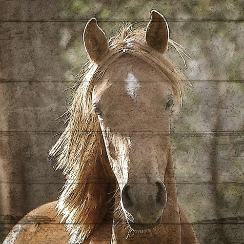 Farm Life 6 Poster Print by Allen Kimberly - Item # VARPDXKASQ1393C