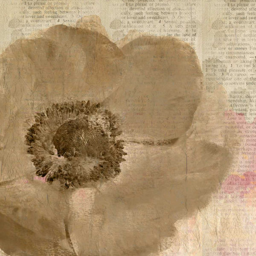 Newspaper Floral 2 Poster Print by Kimberly Allen