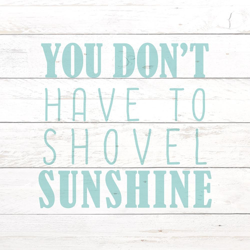 Shovel Sunshine Poster Print by Allen Kimberly - Item # VARPDXKASQ1459D