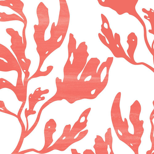 Seaweed 1 Poster Print by Allen Kimberly - Item # VARPDXKASQ1516A