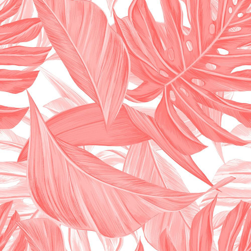 Tropic Coral 1 Poster Print by Allen Kimberly - Item # VARPDXKASQ1518A