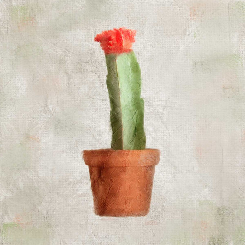 Potted Life 1 Poster Print by Kimberly Allen - Item # VARPDXKASQ153A