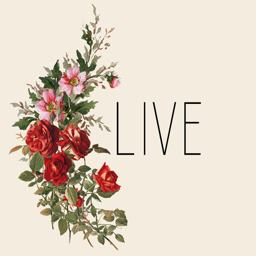 Live Laugh Love 3 Poster Print by Allen Kimberly - Item # VARPDXKASQ1568A