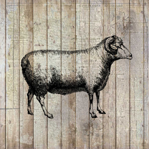 Farm Life 2 Poster Print by Kimberly Allen - Item # VARPDXKASQ160B