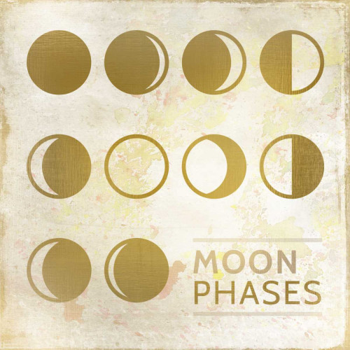 Gold Luna Poster Print by Kimberly Allen - Item # VARPDXKASQ183A