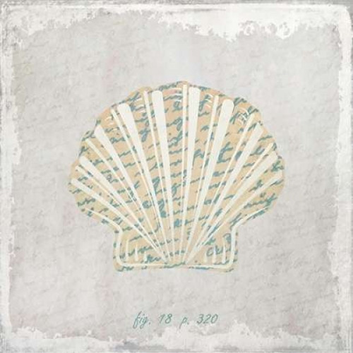 Stone Shell 2 Poster Print by Kimberly Allen - Item # VARPDXKASQ209B