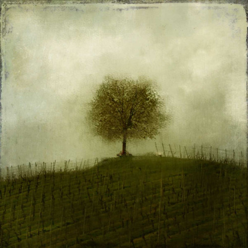 Top of the Hill Poster Print by Kimberly Allen - Item # VARPDXKASQ344A