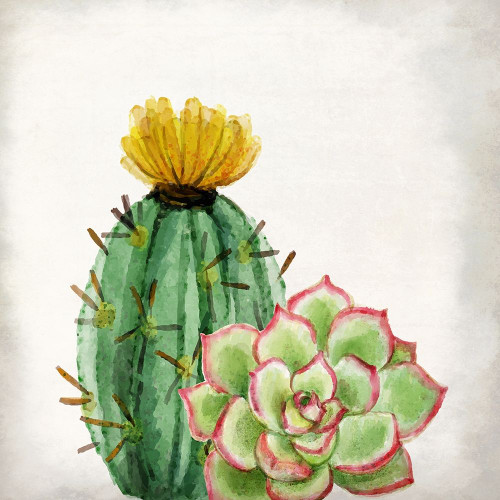 In the Desert 2  Poster Print by Allen Kimberly - Item # VARPDXKASQ580B