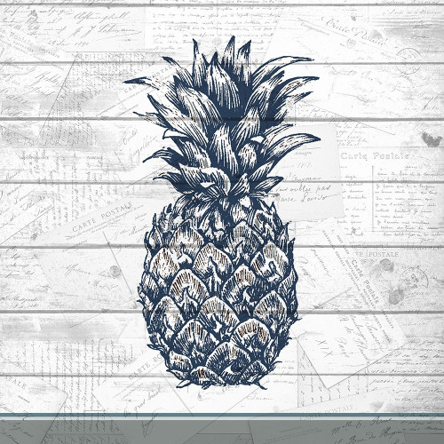 Country Pineapple 1 Poster Print by Allen Kimberly - Item # VARPDXKASQ668A