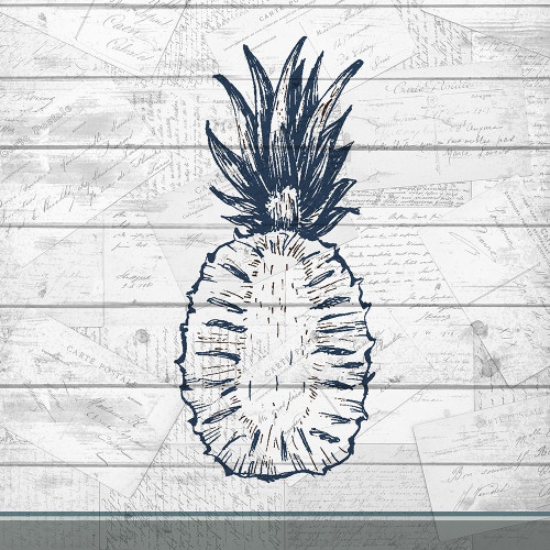 Country Pineapple 2 Poster Print by Allen Kimberly - Item # VARPDXKASQ668B