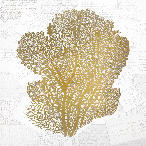Gold Coral 4 Poster Print by Allen Kimberly - Item # VARPDXKASQ699C