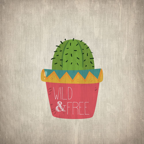 Wild Cactus 3 Poster Print by Allen Kimberly - Item # VARPDXKASQ829C