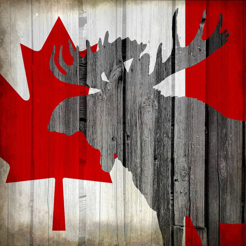 Wildlife Flag 2 Poster Print by Allen Kimberly - Item # VARPDXKASQ996B