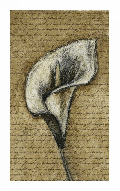 Lily Left Poster Print by Kristin Emery - Item # VARPDXKERC002A