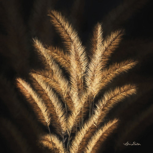 Golden Grass II Poster Print by Lori Deiter - Item # VARPDXLD1599