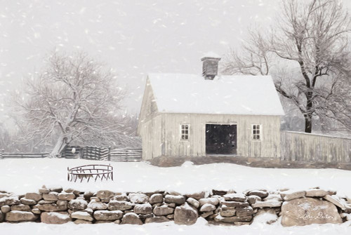 Virginia Snow Storm Poster Print by Lori Deiter - Item # VARPDXLD1696