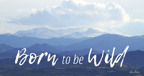 Born to be Wild Poster Print by Lori Deiter - Item # VARPDXLD1771