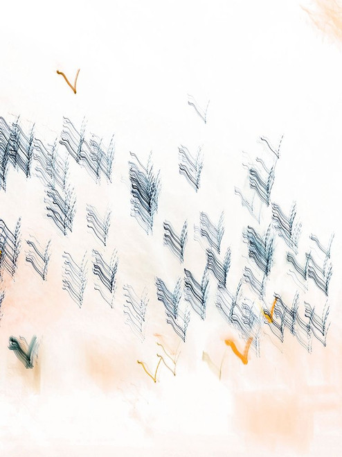 Brush Drag II Poster Print by Lily Mourier