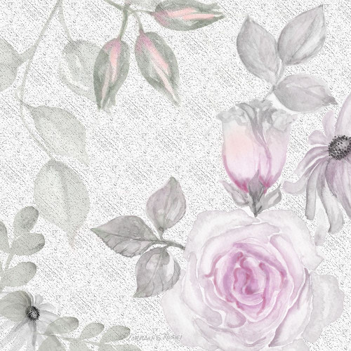 Blush Rose II Poster Print by Lorraine Rossi - Item # VARPDXLRSQ254B