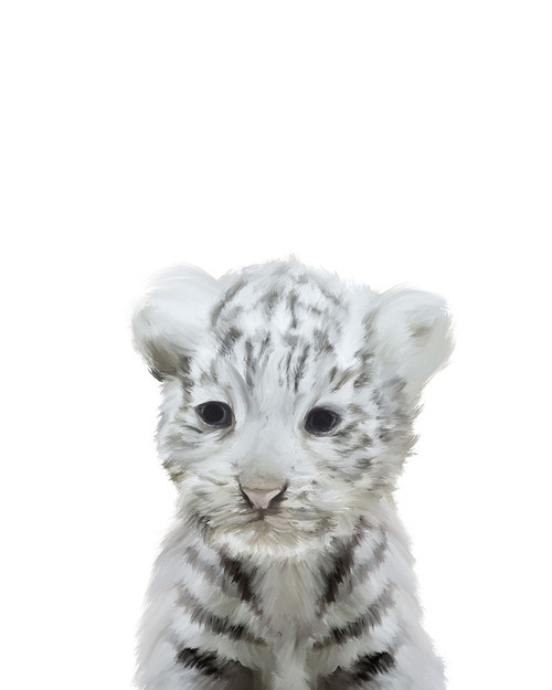 White Tiger Poster Print by Leah Straatsma - Item # VARPDXLSRC008B White Tiger Poster Print by Leah Straatsma - Item # VARPDXLSRC008B