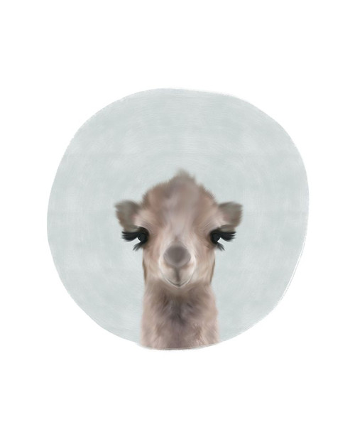 Baby Camel Circle Poster Print by Leah Straatsma - Item # VARPDXLSRC013L
