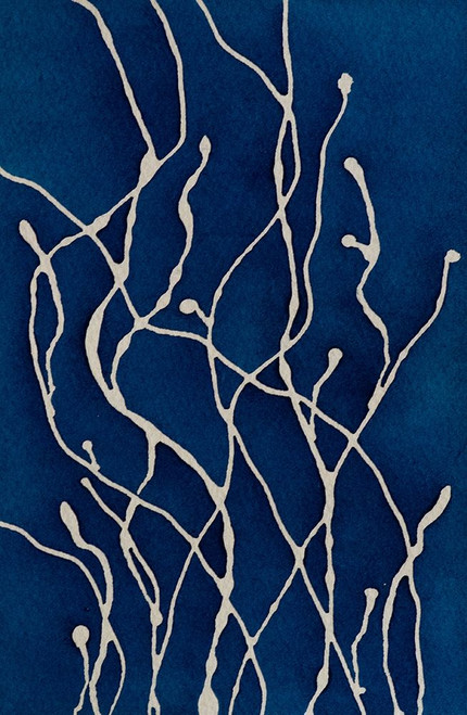 Blue Ferns Poster Print by Laura Van - Item # VARPDXLV0001