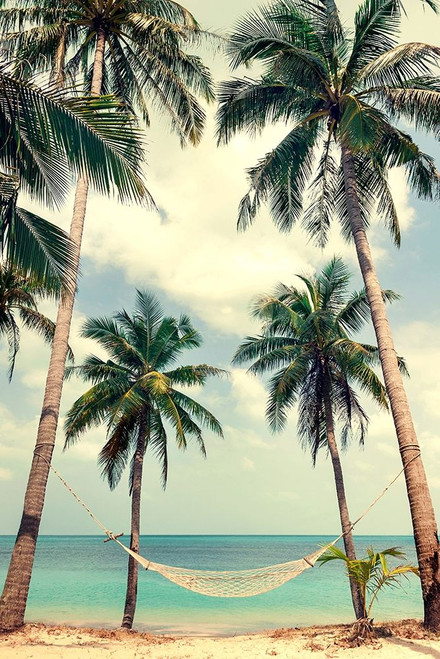 Palm Sky 3 Poster Print by Design Fabrikken Design Fabrikken - Item # VARPDXMF9690953