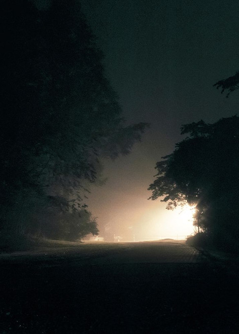 A Light in the Dark Poster Print by Design Fabrikken Design Fabrikken - Item # VARPDXMF9691133