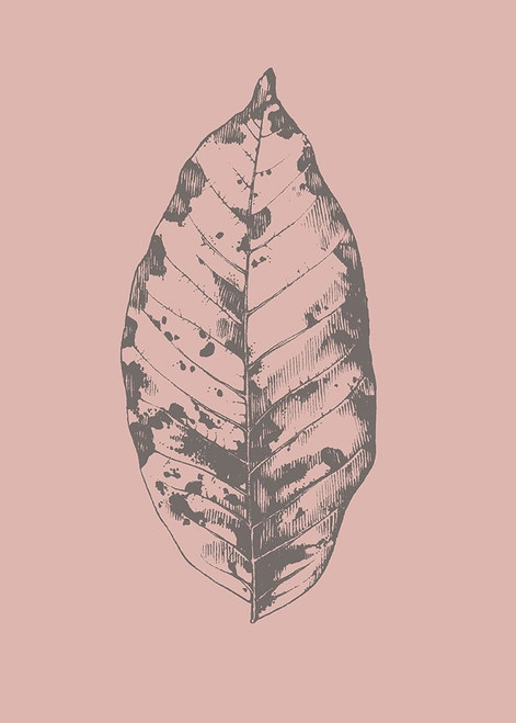 Botanica 1 Poster Print by Design Fabrikken Design Fabrikken - Item # VARPDXMF9691156