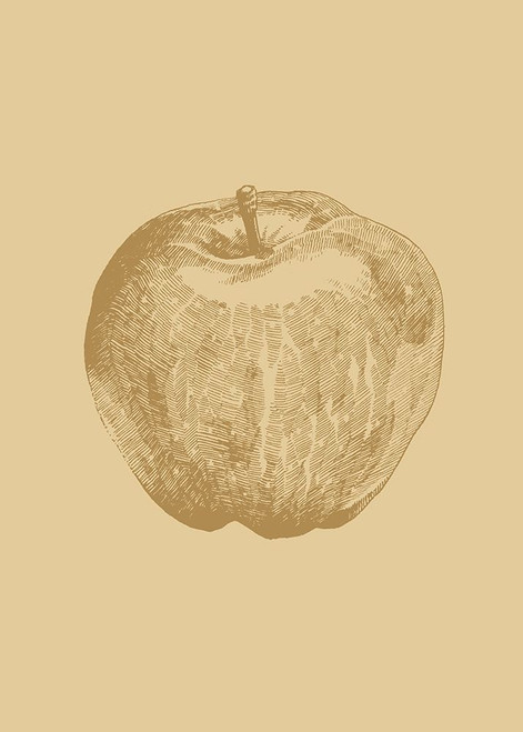 Botanica 4 Poster Print by Design Fabrikken Design Fabrikken - Item # VARPDXMF9691158