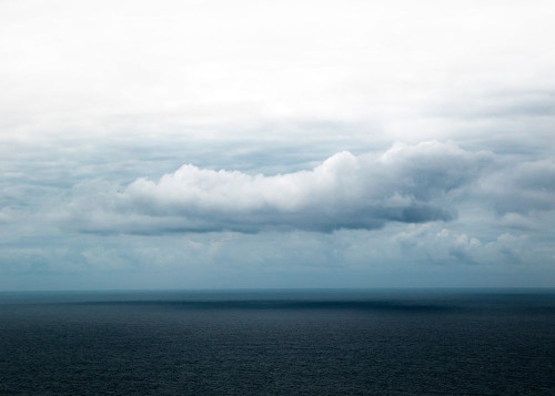 Bishop 3 Poster Print by Design Fabrikken Design Fabrikken - Item # VARPDXMF9691184