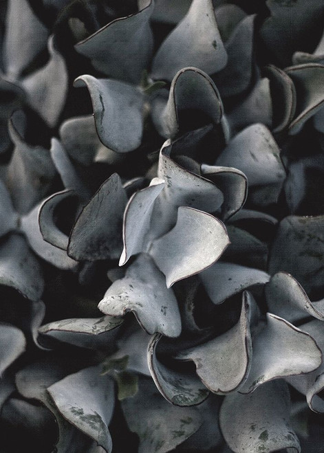 Secret 10 Poster Print by Design Fabrikken Design Fabrikken - Item # VARPDXMF9691223