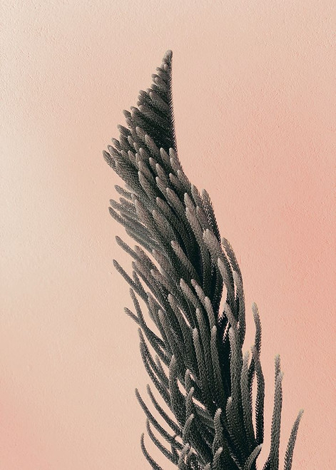 Upwards 1 Poster Print by Design Fabrikken Design Fabrikken - Item # VARPDXMF9691233