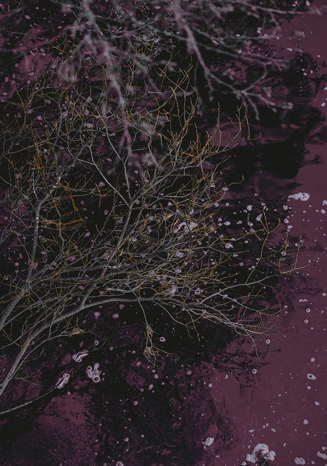 River of Wine Poster Print by Design Fabrikken Design Fabrikken - Item # VARPDXMF9691249