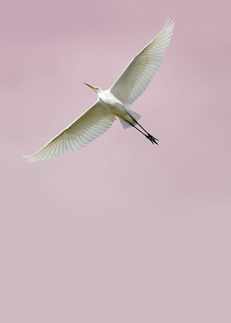 In the Sky 2 Poster Print by Design Fabrikken Design Fabrikken - Item # VARPDXMF9691258