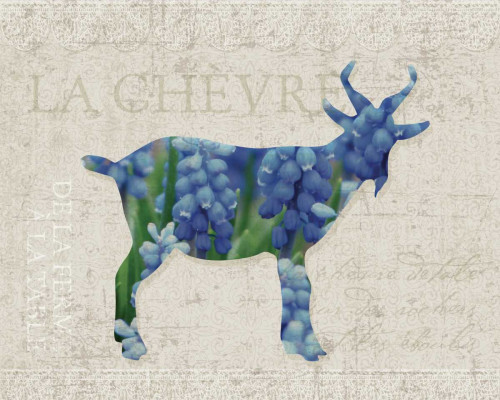 Flower Farm Goat Poster Print by Melody Hogan - Item # VARPDXMHRC217D