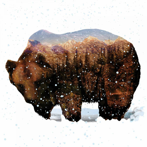 Grizzly Winter Poster Print by Melody Hogan - Item # VARPDXMHSQ131A