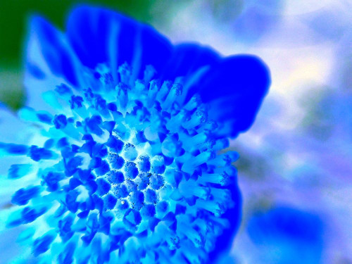 Blue Ball II Poster Print by Grayscale Grayscale - Item # VARPDXMJMABS00030