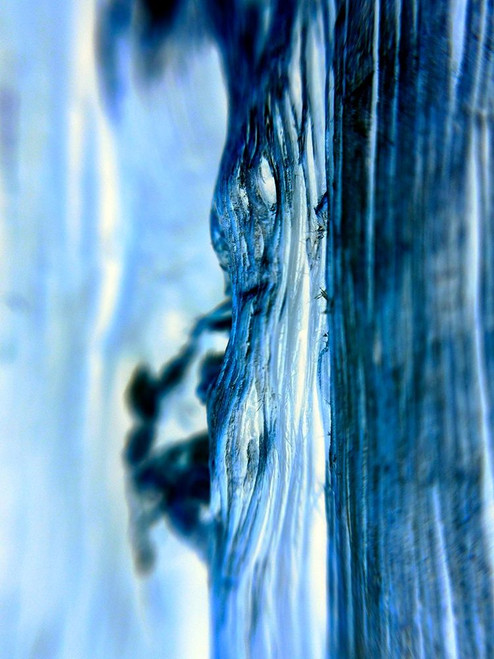Blue Knots I Poster Print by Grayscale Grayscale - Item # VARPDXMJMABS00046